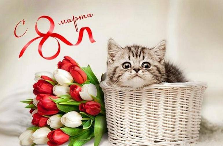 Открытки 8 марта